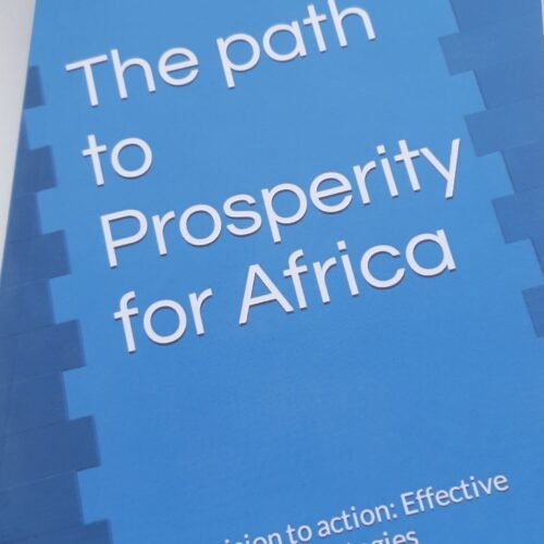 The path to prosperity for Africa, development Policy and strategy book