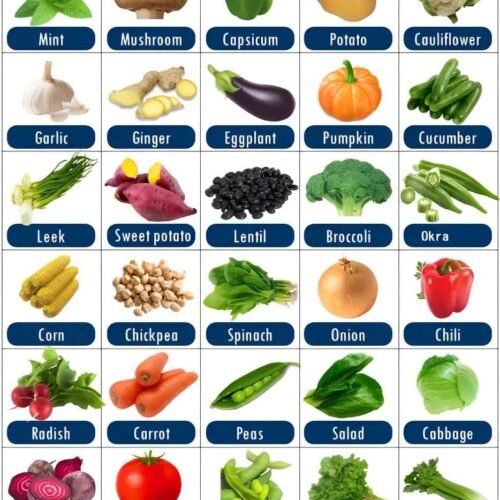 food plan for healthy life