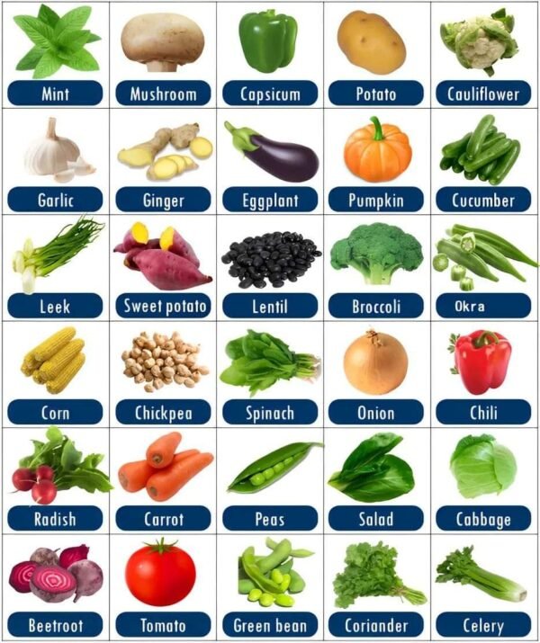 food plan for healthy life
