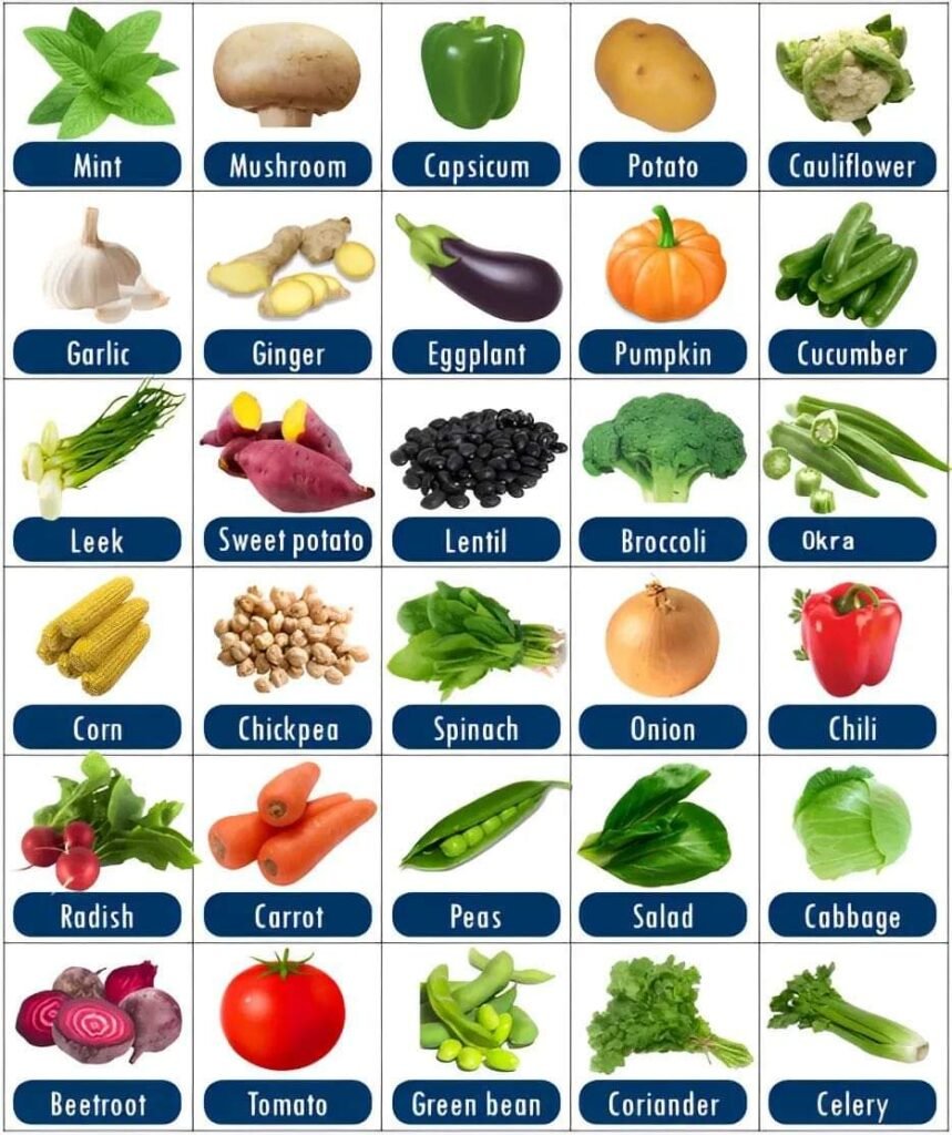 food plan for healthy life